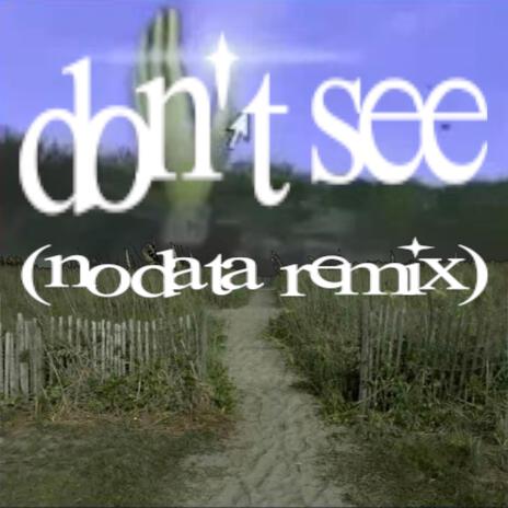 don't see (NoData remix) ft. NoData