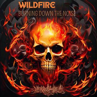 Wildfire: Burning Down the Noise