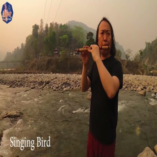 Singing Bird Mrlamchi
