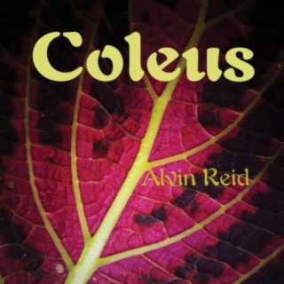 Coleus