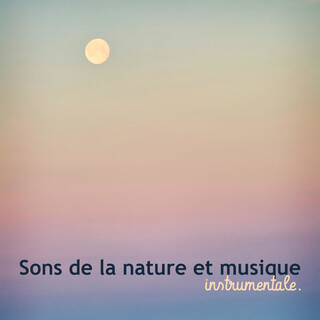 Sons de la nature et musique instrumentale - Chants de piano relaxants avec les vagues de l'océan et les oiseaux, sommeil profond, méditation de pleine conscience, relaxation