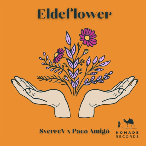 Elderflower ft. Paco Amigó | Boomplay Music