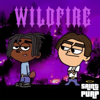 Wildfire ft. Saint Purp lyrics | Boomplay Music