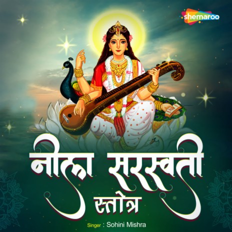 Neela Saraswati Stotra | Boomplay Music