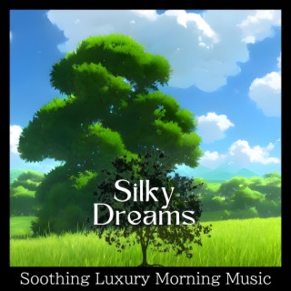 Soothing Luxury Morning Music