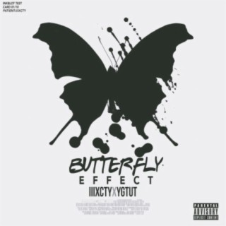 Butterfly Effect