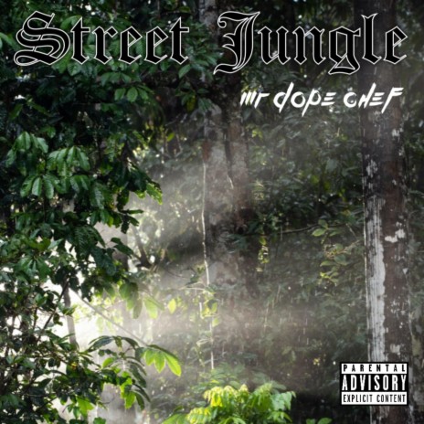 Street Jungle | Boomplay Music