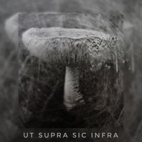 Ut Supra, Sic Infra ft. Shark Tooth | Boomplay Music