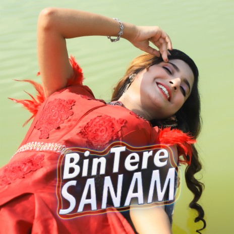 BIN TERE SANAM (बिन तेरे सनम दर्द भरा गीत) ft. Bangla Song, Bangla New Song & Raqibul Hasan RaNa | Boomplay Music