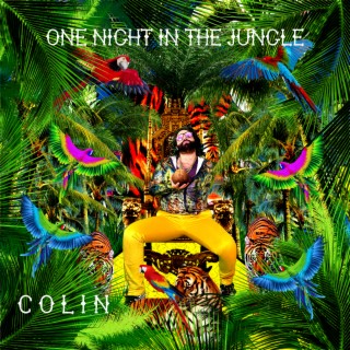 One Night In The Jungle