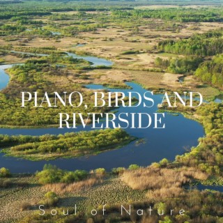 Piano, Birds and Riverside