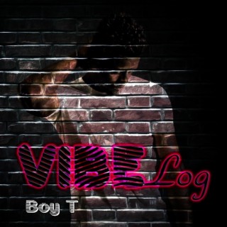 VibeLog lyrics | Boomplay Music