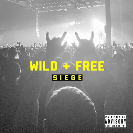 Wild + Free | Boomplay Music