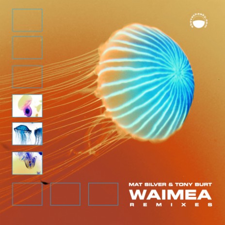 Waimea (Andreas Hjorth Remix 2020 Remaster) ft. Andreas Hjorth | Boomplay Music