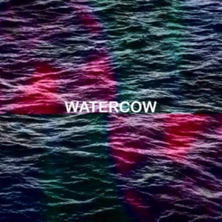 Watercow