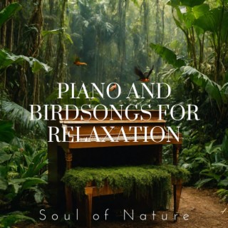 Piano and Birdsongs for Relaxation