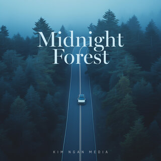 Midnight Forest