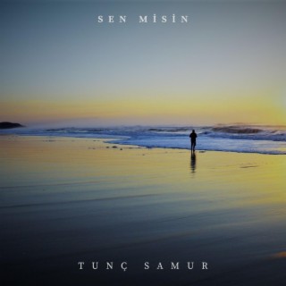 Sen Misin lyrics | Boomplay Music