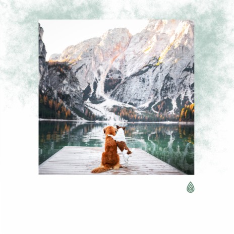 Yin & Yang Heureux de l'Eau ft. Calming for Dogs Indeed, Binaural Healing, Baby Naptime, Calming Music for Dogs & Chakra Healing Music Academy
