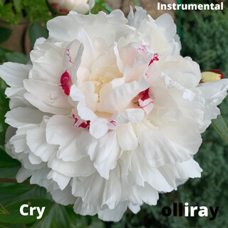 Cry (Instrumental)