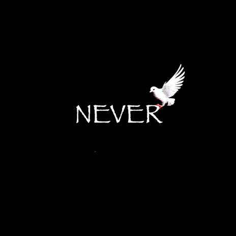 Never | Boomplay Music