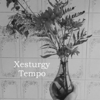 Xesturgy