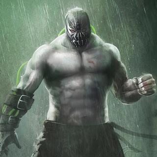 Bane (Insane)