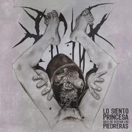 Lo siento princesa solo me gustan las piedreras | Boomplay Music