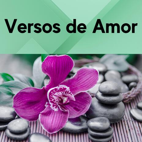 Versos de Amor | Boomplay Music