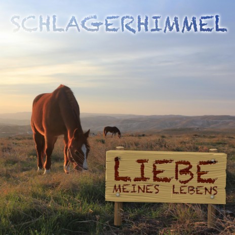 Liebe meines Lebens (Instrumental Version) | Boomplay Music