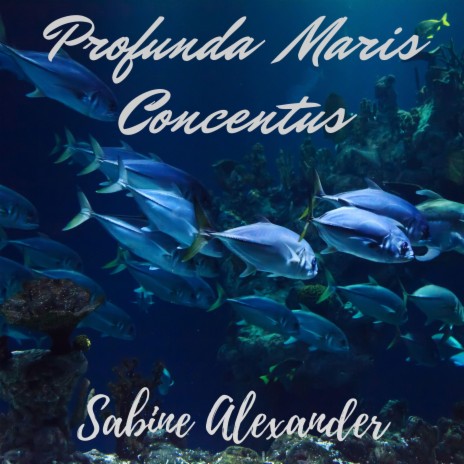 Profunda Maris Concentus | Boomplay Music