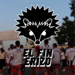 EL FIN ERIZO