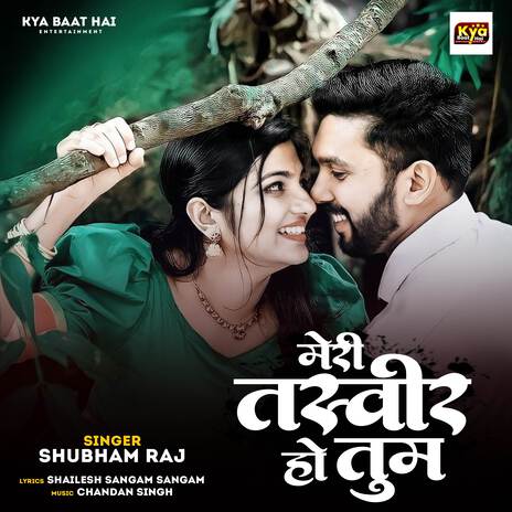 Meri Tasveer Ho Tum | Boomplay Music