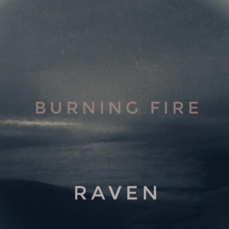 Burning Fire | Boomplay Music