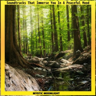 Soundtracks That Immerse You in a Peaceful Mood