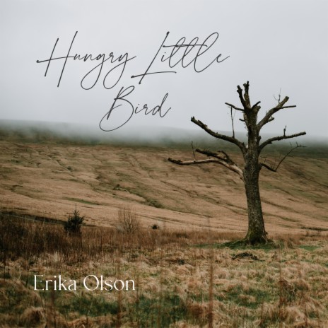 Hungry Little Bird | Boomplay Music