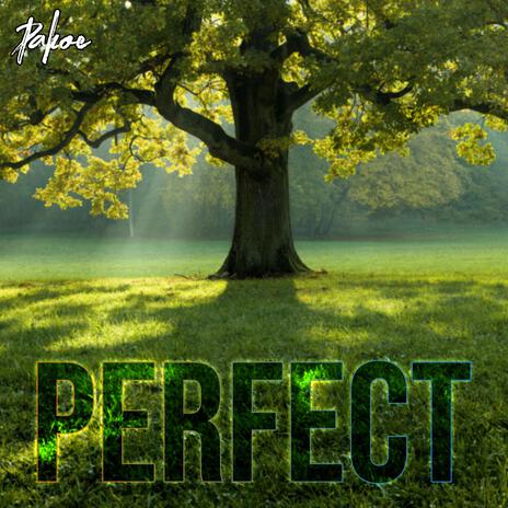 Perfect | Boomplay Music