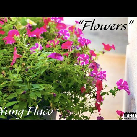 Flowers | Boomplay Music