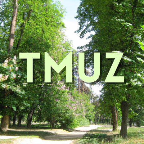 TMUZ | Boomplay Music