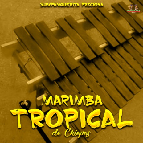 Sumpanguerita Preciosa | Boomplay Music