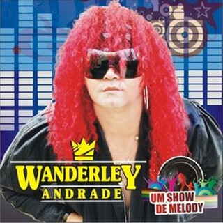 Wanderley Andrade - Um show de Melody