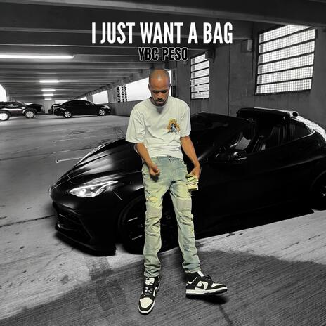 I Just Want A Bag | Boomplay Music