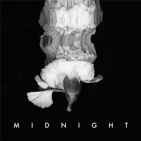 Midnight | Boomplay Music