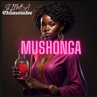 Mushonga