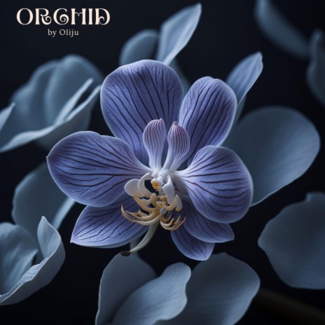 Orchid | Boomplay Music