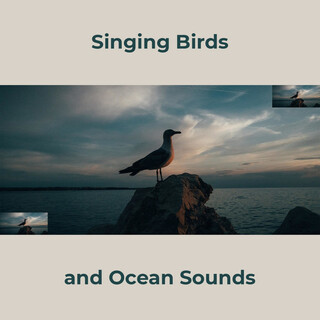 Singing Birds and Ocean Sounds – Relaxing Sounds of Nature with Instrumental Piano Music, Relaxation Meditation, Mindfulness, Deep Sleep Lullabies