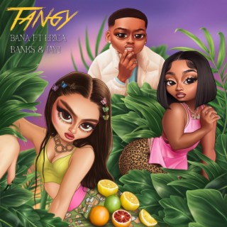 Tangy (Remix) ft. Erica Banks & Jay1 lyrics | Boomplay Music
