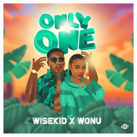 only one ft. wonu | Boomplay Music