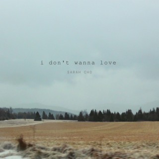 i don't wanna love lyrics | Boomplay Music