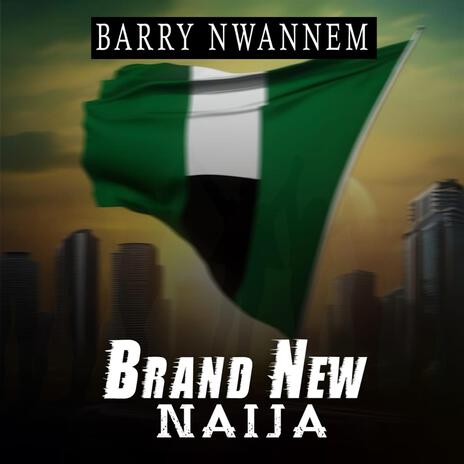 Brand New Naija | Boomplay Music